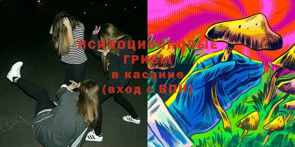 МДПВ Каменногорск