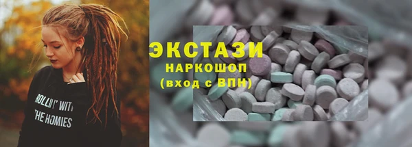 мдпв Каменка