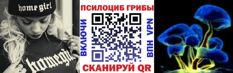 Галлюциногенные грибы MAGIC MUSHROOMS  хочу   Дорогобуж 